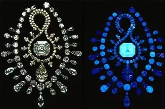 微信图片_20230403173247